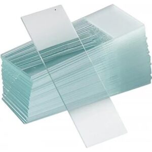 Microscopic Slide